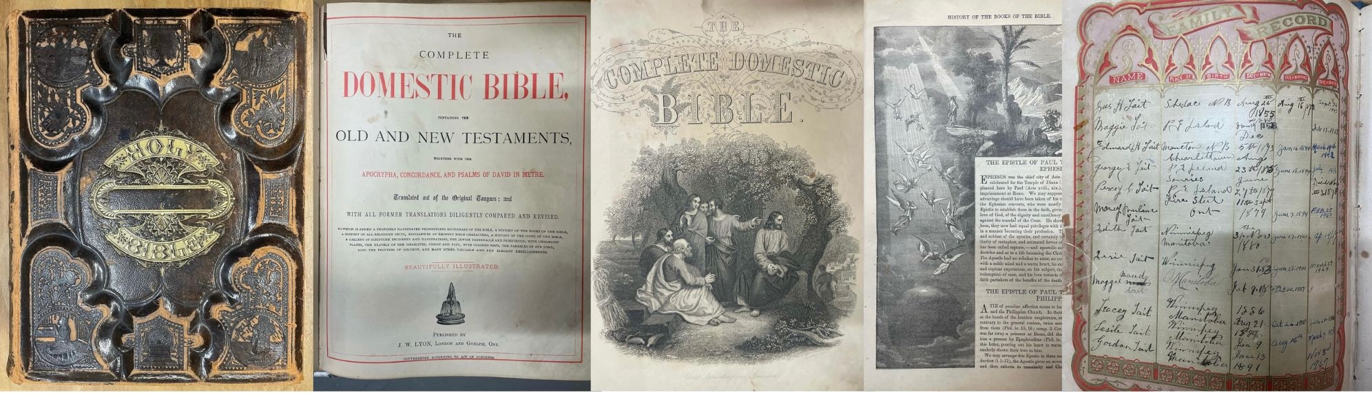Vintage Case Books for Website - Complete Domestic Bible