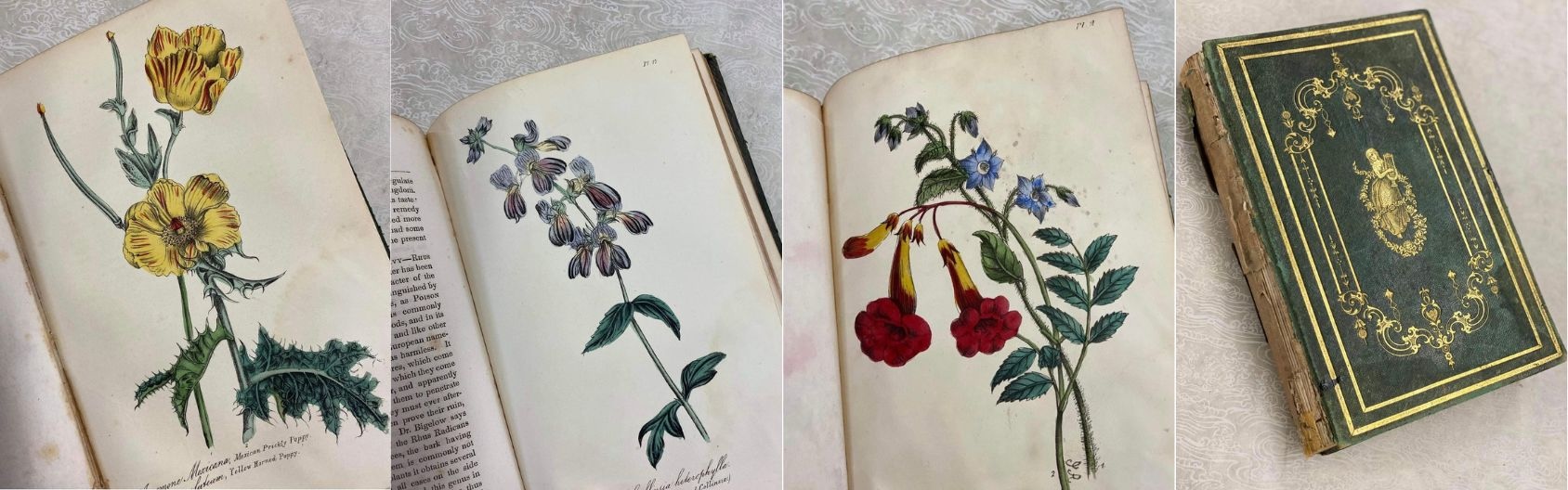 Vintage Case Books for Website - Ladies Flora