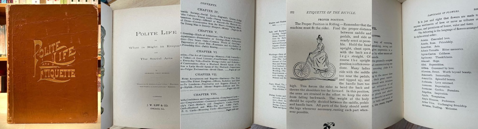 Vintage Case Books for Website - Polite Life