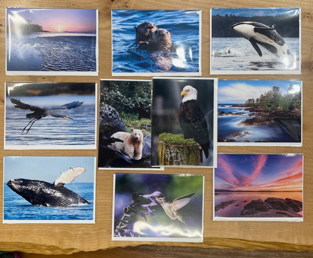 IMG_0079